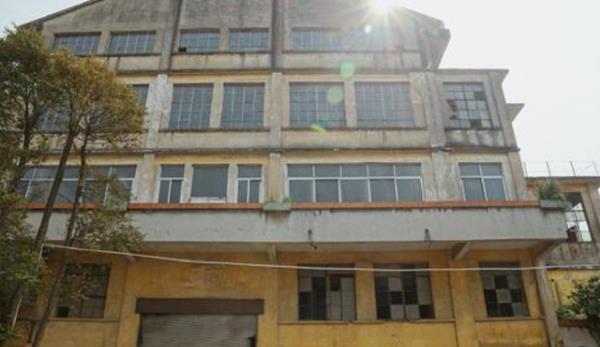 广州荒废20多年的一景区,景象荒凉却“意外走红”,游客源源不断