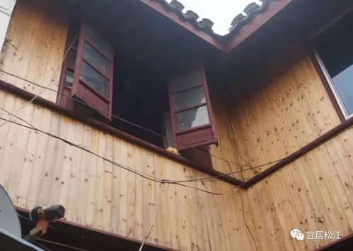 修旧如旧,各部门携手集思广益,松江古建筑集体焕发 青春